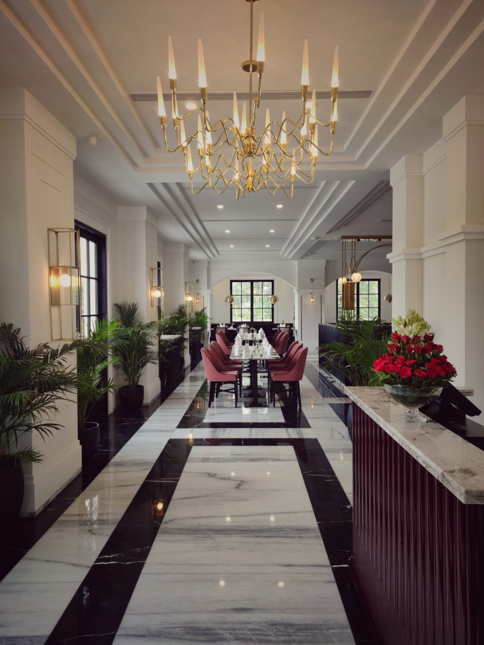 Zira Collection Item